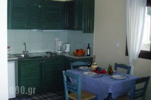 Socrates Organic Village_holidays_in_Hotel_Peloponesse_Achaia_Lakopetra