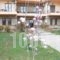 Armonia Hotel_travel_packages_in_Macedonia_Pella_Aridea