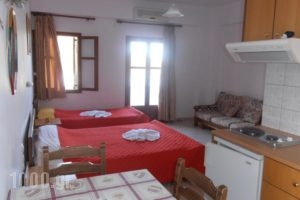 Oasis Apartments_accommodation_in_Apartment_Crete_Heraklion_Lendas