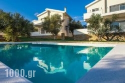 Abelia Luxurious Villas in Pilio Area, Magnesia, Thessaly