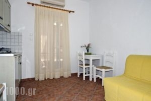 Maria's Guesthouse_holidays_in_Hotel_Sporades Islands_Skiathos_Skiathos Chora