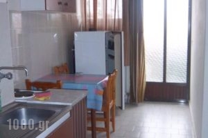 Poulithra Beach_holidays_in_Hotel_Peloponesse_Lakonia_Sarti