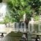 Yasemi Rooms_best deals_Room_Ionian Islands_Lefkada_Lefkada Rest Areas