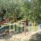 Bungalows Camping Kouyoni_best prices_in_Hotel_Macedonia_Halkidiki_Poligyros