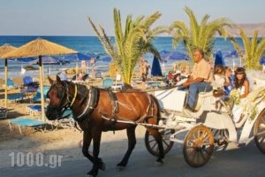 Manolis Family_best deals_Hotel_Crete_Chania_Georgioupoli