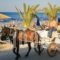 Manolis Family_best deals_Hotel_Crete_Chania_Georgioupoli