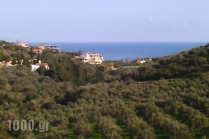 Villa Dimosthenis_lowest prices_in_Villa_Crete_Chania_Kolympari