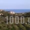 Villa Dimosthenis_lowest prices_in_Villa_Crete_Chania_Kolympari