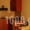 Studio Skourtis_best deals_Hotel_Piraeus Islands - Trizonia_Methana_Methana Chora