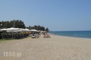 Hotel Apollon_best deals_Hotel_Central Greece_Aetoloakarnania_Mesologgi