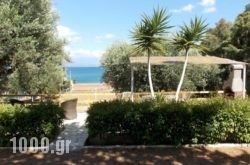 Peter’S Village in Paros Chora, Paros, Cyclades Islands