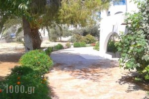 Chrisanthi Studios_lowest prices_in_Hotel_Cyclades Islands_Naxos_Agios Prokopios