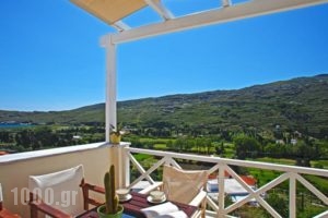 Anemomiloi Studios_accommodation_in_Hotel_Cyclades Islands_Andros_Andros City