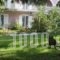 Oasis_accommodation_in_Hotel_Ionian Islands_Zakinthos_Zakinthos Rest Areas