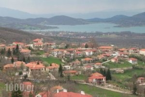 Thea Guesthouse_best deals_Hotel_Thessaly_Karditsa_Neochori