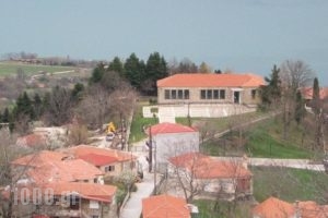 Thea Guesthouse_travel_packages_in_Thessaly_Karditsa_Neochori