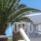 Hotel Manos_best deals_Hotel_Cyclades Islands_Paros_Naousa