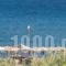 Nikolas Apartments_best deals_Apartment_Crete_Chania_Stalos