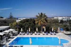 Zoumis Studios_best deals_Hotel_Cyclades Islands_Paros_Naousa