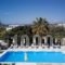 Zoumis Studios_best deals_Hotel_Cyclades Islands_Paros_Naousa