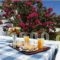 Hotel Agterra_best deals_Hotel_Cyclades Islands_Naxos_Naxos chora
