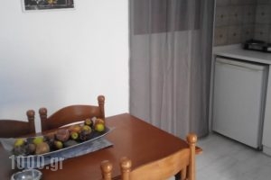 Zoumis Studios_best prices_in_Hotel_Cyclades Islands_Paros_Naousa