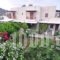 Villa Mata_travel_packages_in_Cyclades Islands_Ios_Ios Chora