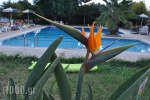 Stork Hotel_best prices_in_Hotel_Crete_Heraklion_Ammoudara