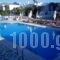 Zoumis Studios_travel_packages_in_Cyclades Islands_Paros_Naousa