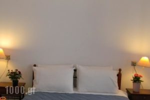 Villa Kalomira_holidays_in_Villa_Piraeus Islands - Trizonia_Spetses_Spetses Chora