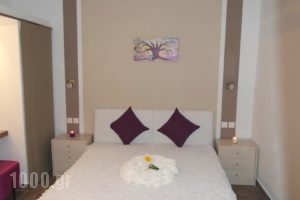 House Roula_accommodation_in_Hotel_Macedonia_Halkidiki_Neos Marmaras