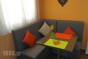 House Roula_best deals_Hotel_Macedonia_Halkidiki_Neos Marmaras