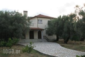 Villa Lefkas_accommodation_in_Villa_Ionian Islands_Lefkada_Lefkada's t Areas