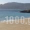 Lindia Thalassa_best deals_Hotel_Dodekanessos Islands_Rhodes_Pefki