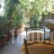 Villa Ira Studios - Apartments_best deals_Villa_Epirus_Preveza_Parga