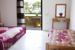 Manolis Studios_lowest prices_in_Hotel_Dodekanessos Islands_Kos_Kos Rest Areas