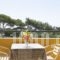 Manolis Studios_holidays_in_Hotel_Dodekanessos Islands_Kos_Kos Rest Areas