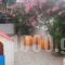 Cathrin Beach Apartments_travel_packages_in_Crete_Chania_Stavros