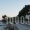 Pension Elena_travel_packages_in_Ionian Islands_Zakinthos_Zakinthos Chora