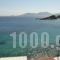 Studios Loukia_best deals_Hotel_Aegean Islands_Samos_Samos Rest Areas