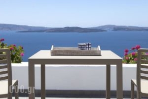 Santorini Secret Suites & Spa_lowest prices_in_Hotel_Cyclades Islands_Sandorini_Oia