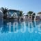 Pension Livadaros_best deals_Hotel_Cyclades Islands_Sandorini_Sandorini Chora