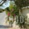 Palataki Absolute Blue_best deals_Hotel_Ionian Islands_Zakinthos_Zakinthos Rest Areas