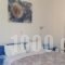 Ikonomakis Apartments_best deals_Apartment_Crete_Rethymnon_Mylopotamos