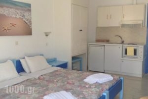 Ikonomakis Apartments_best prices_in_Apartment_Crete_Rethymnon_Mylopotamos