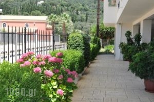 Ilias Apartments Ipsos_best prices_in_Apartment_Ionian Islands_Corfu_Kato Korakiana
