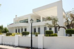 Mythodea_accommodation_in_Hotel_Aegean Islands_Thasos_Thasos Chora