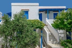 Golden Beach Studios_holidays_in_Hotel_Cyclades Islands_Paros_Paros Chora