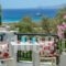 Studios Tasia_accommodation_in_Hotel_Cyclades Islands_Naxos_Naxos chora