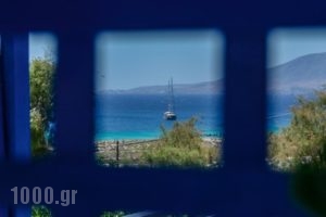 Studios Tasia_holidays_in_Hotel_Cyclades Islands_Naxos_Naxos chora